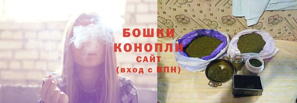 ПСИЛОЦИБИНОВЫЕ ГРИБЫ Осташков