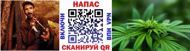 hydra маркетплейс  Пролетарск  Канабис планчик 